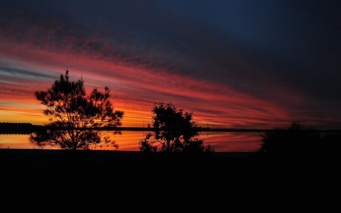 Обои Red Sunset And Dark Tree Silhouettes 1440x900