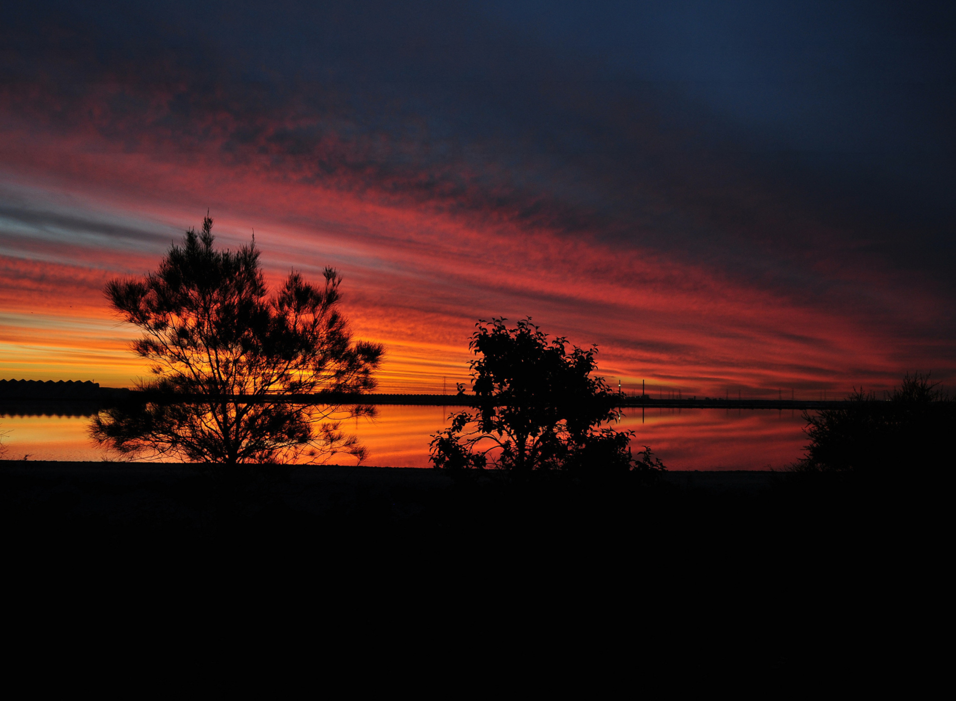 Обои Red Sunset And Dark Tree Silhouettes 1920x1408