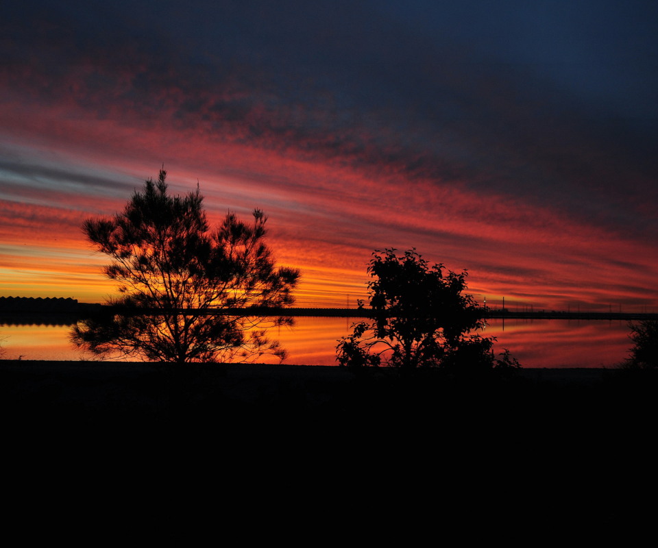 Обои Red Sunset And Dark Tree Silhouettes 960x800