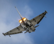 Fondo de pantalla Typhoon Aircraft 176x144