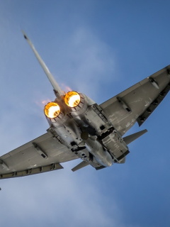 Das Typhoon Aircraft Wallpaper 240x320