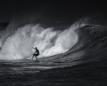 Black And White Surfing wallpaper 220x176