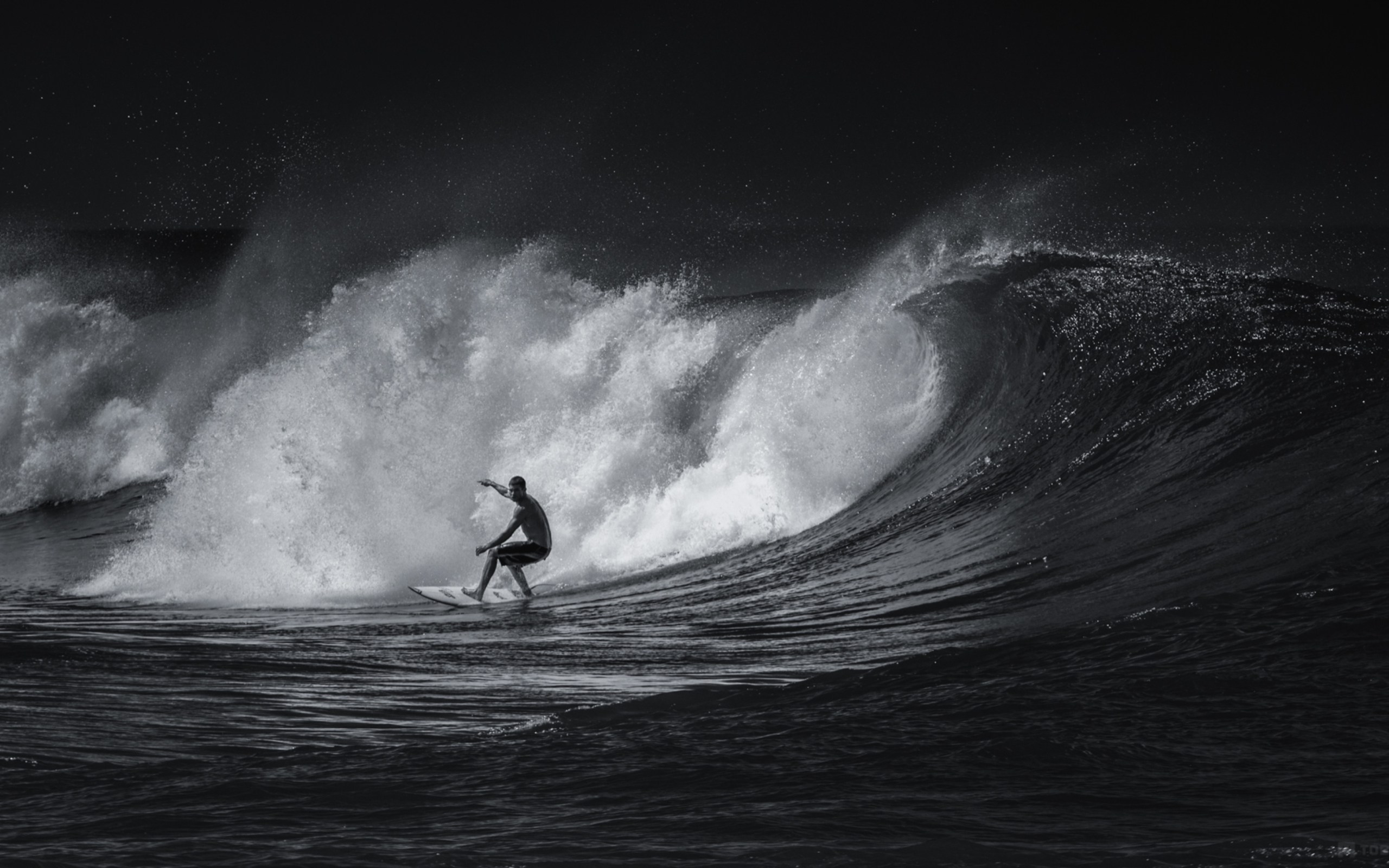 Black And White Surfing wallpaper 2560x1600
