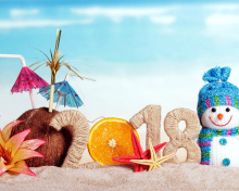 Happy New Year 2018 Beach Style wallpaper 220x176