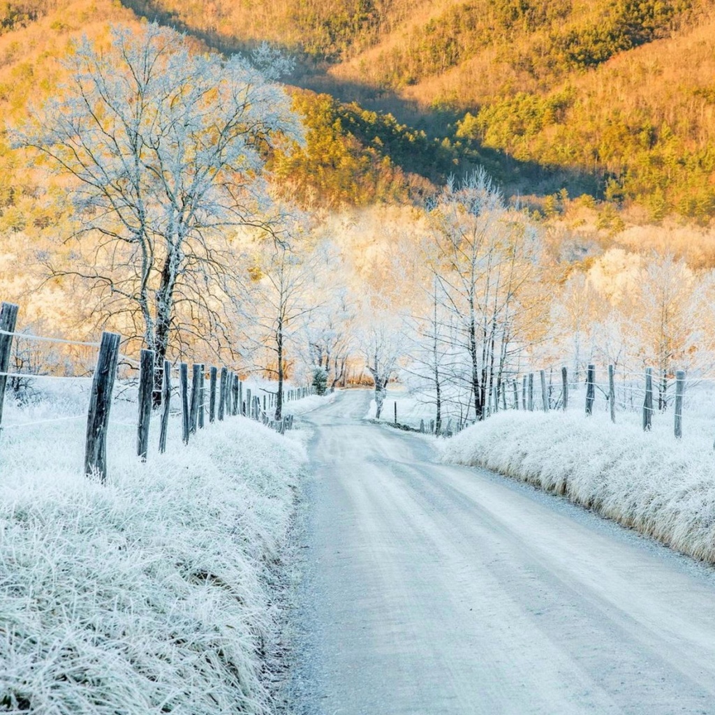 Das Winter road in frost Wallpaper 1024x1024