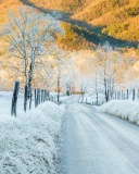 Winter road in frost wallpaper 128x160