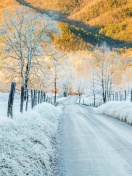 Sfondi Winter road in frost 132x176