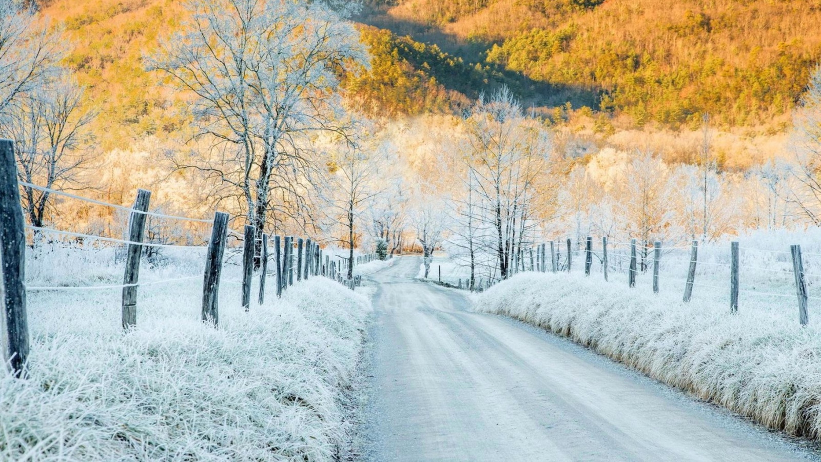 Fondo de pantalla Winter road in frost 1600x900