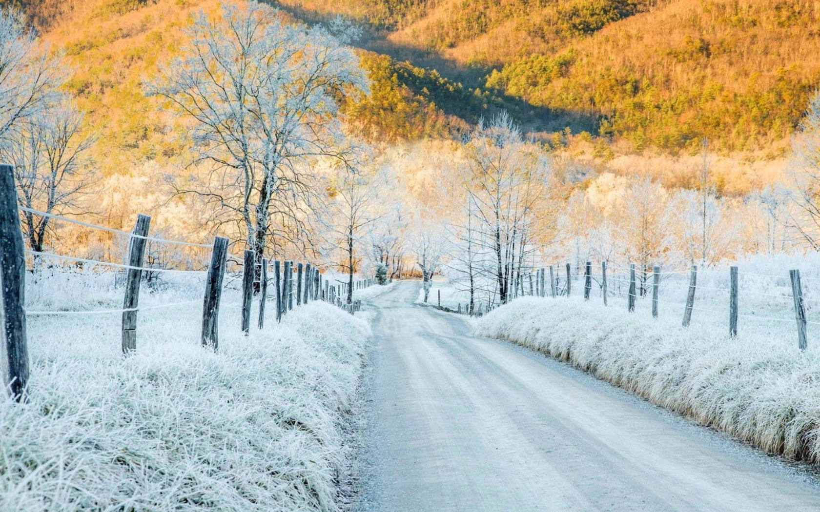 Fondo de pantalla Winter road in frost 1680x1050