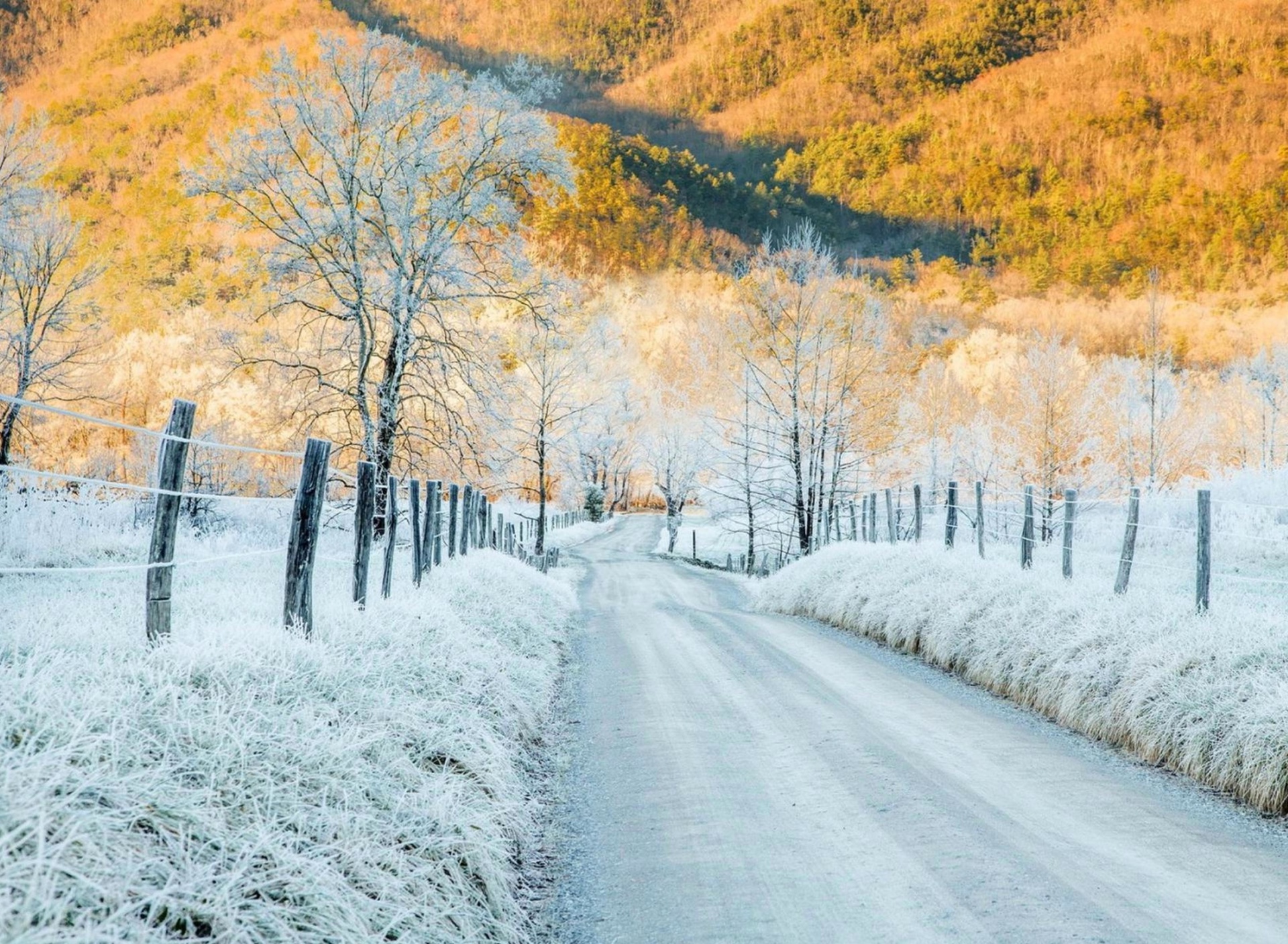 Das Winter road in frost Wallpaper 1920x1408