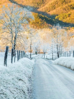 Fondo de pantalla Winter road in frost 240x320