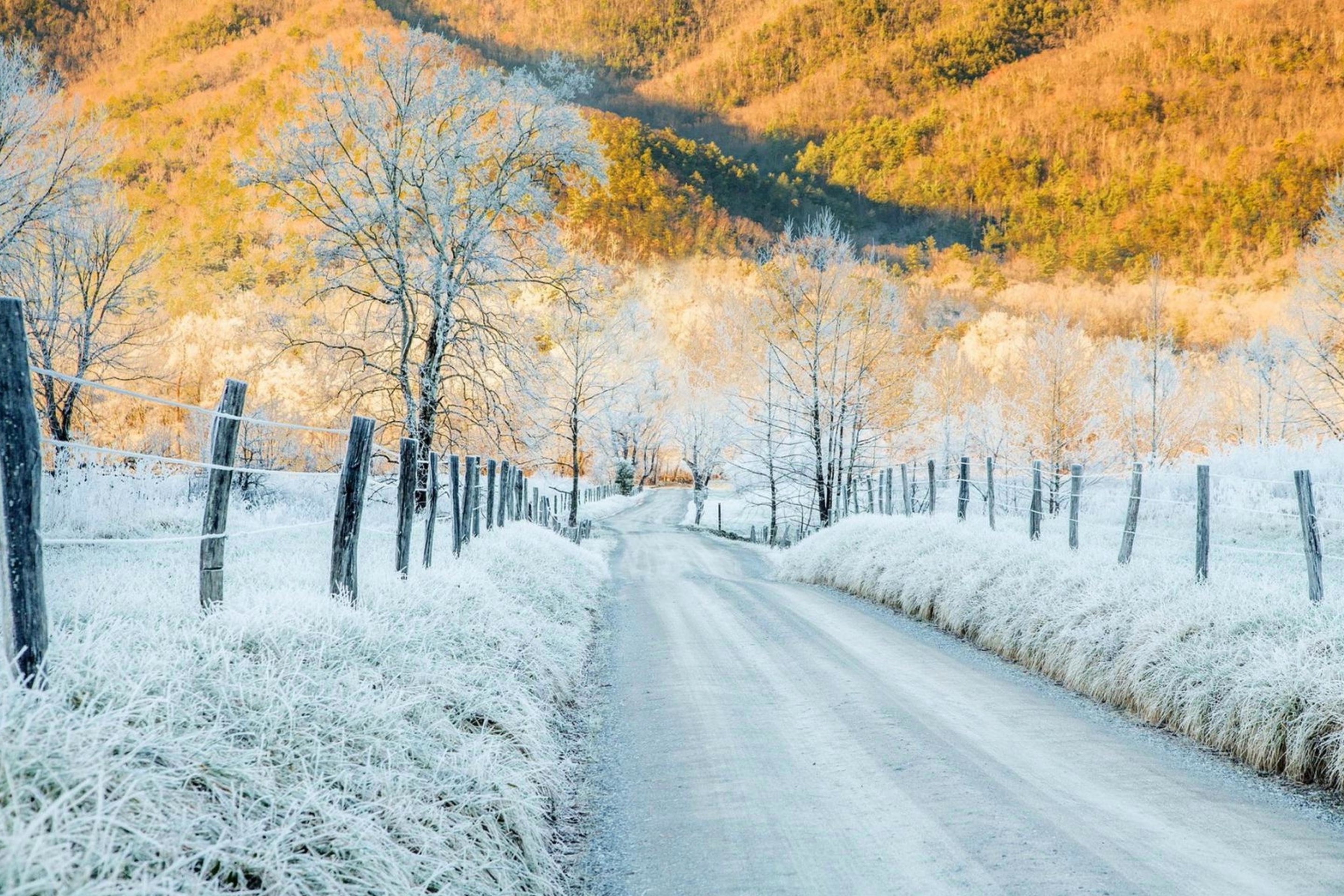 Winter road in frost wallpaper 2880x1920