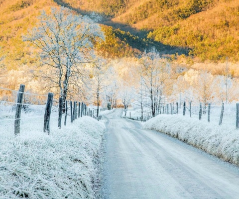 Das Winter road in frost Wallpaper 480x400