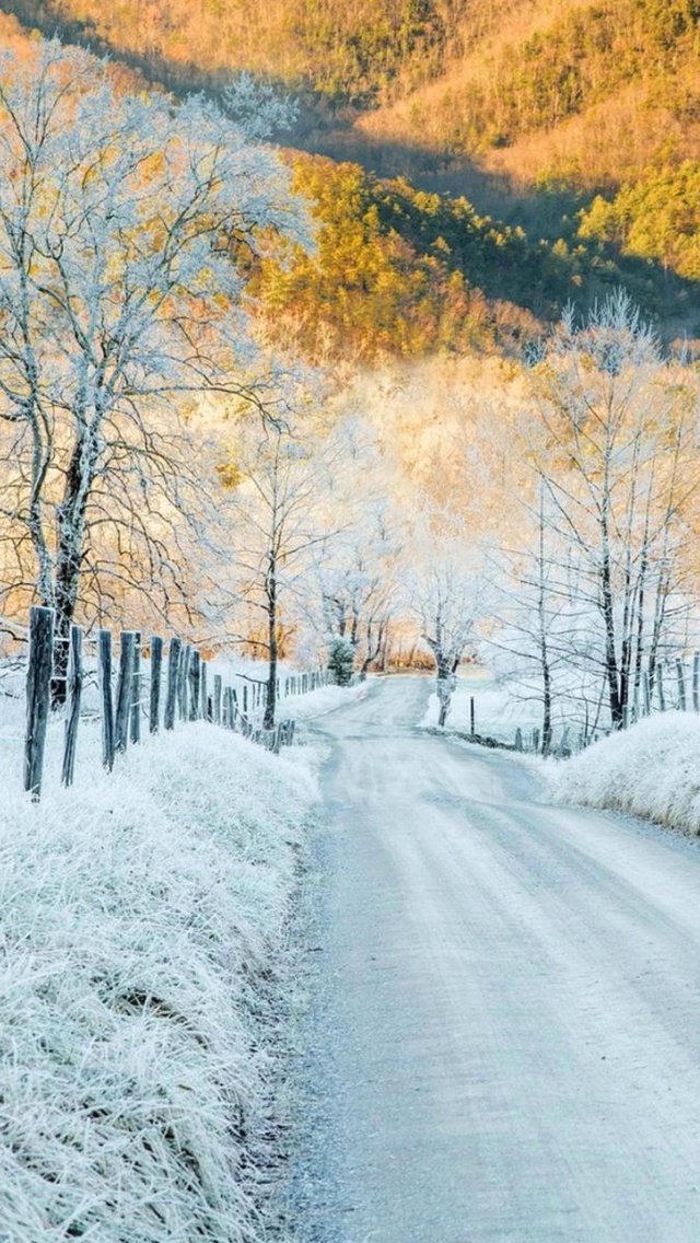 Fondo de pantalla Winter road in frost 640x1136