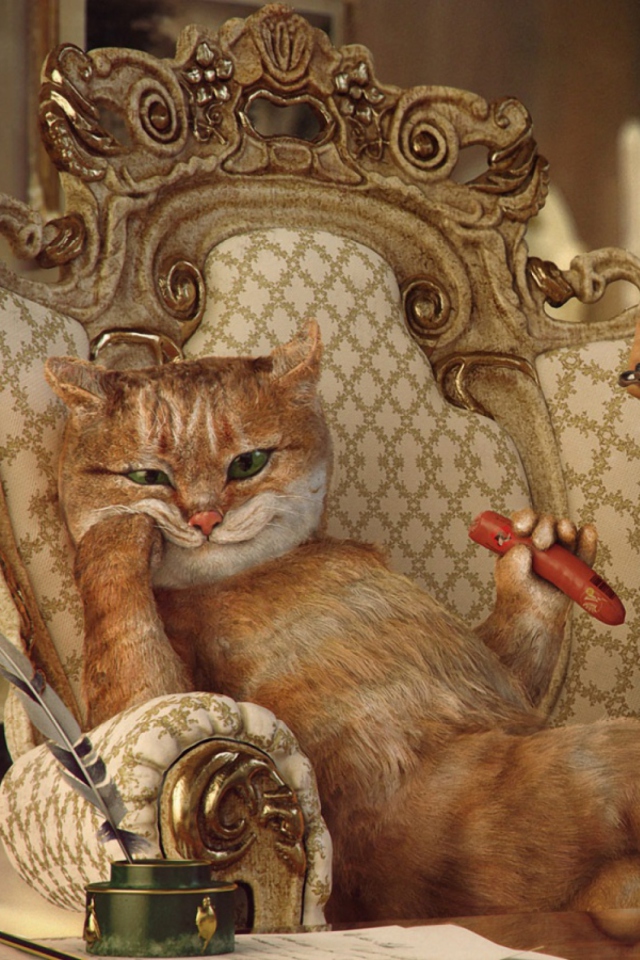 Das Cat The Boss Wallpaper 640x960