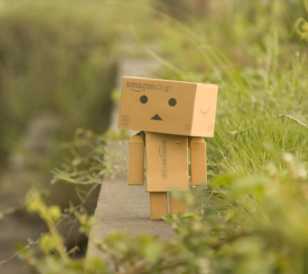 Screenshot №1 pro téma Danbo Goes For A Walk 1080x960