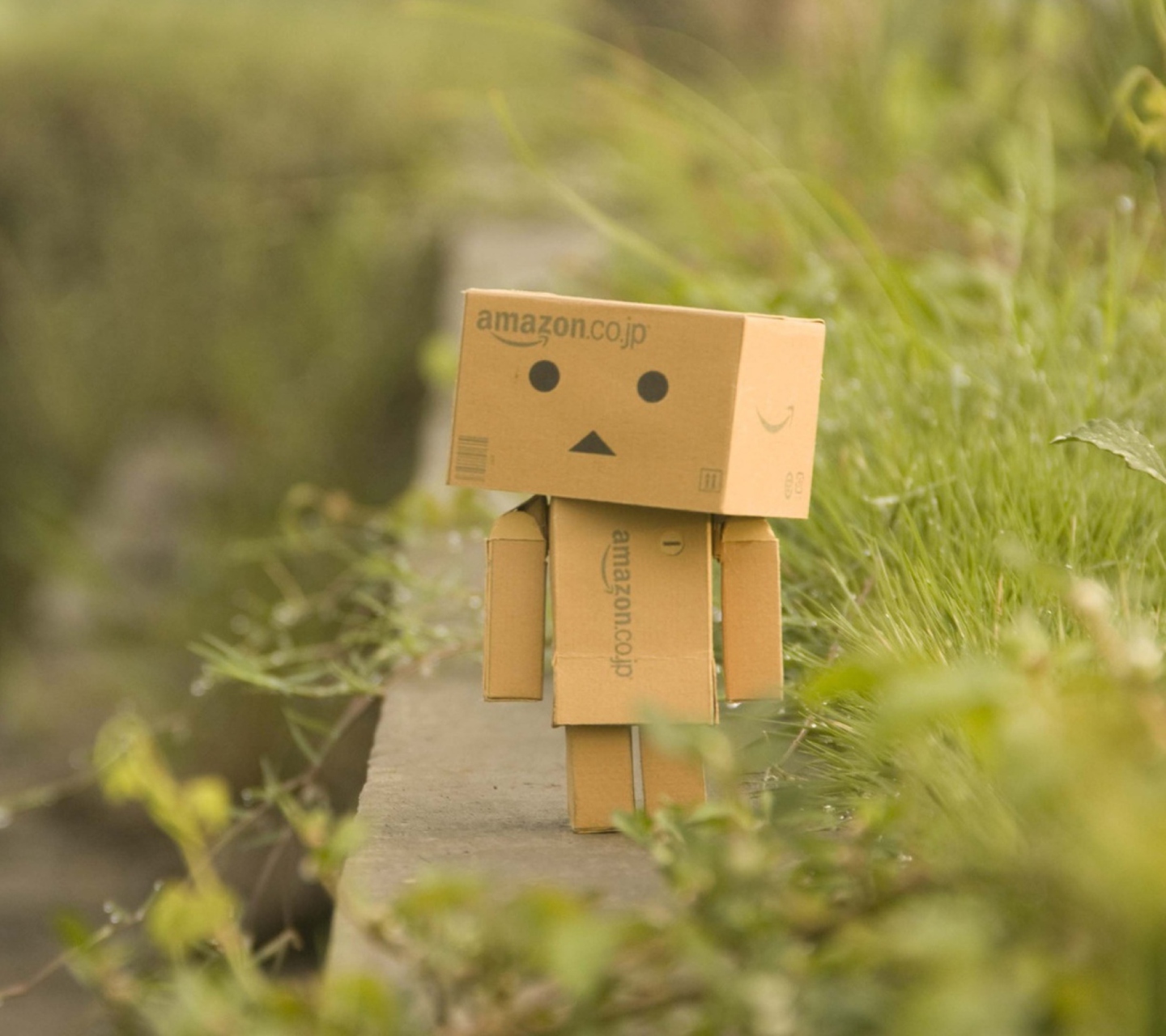 Danbo Goes For A Walk wallpaper 1440x1280