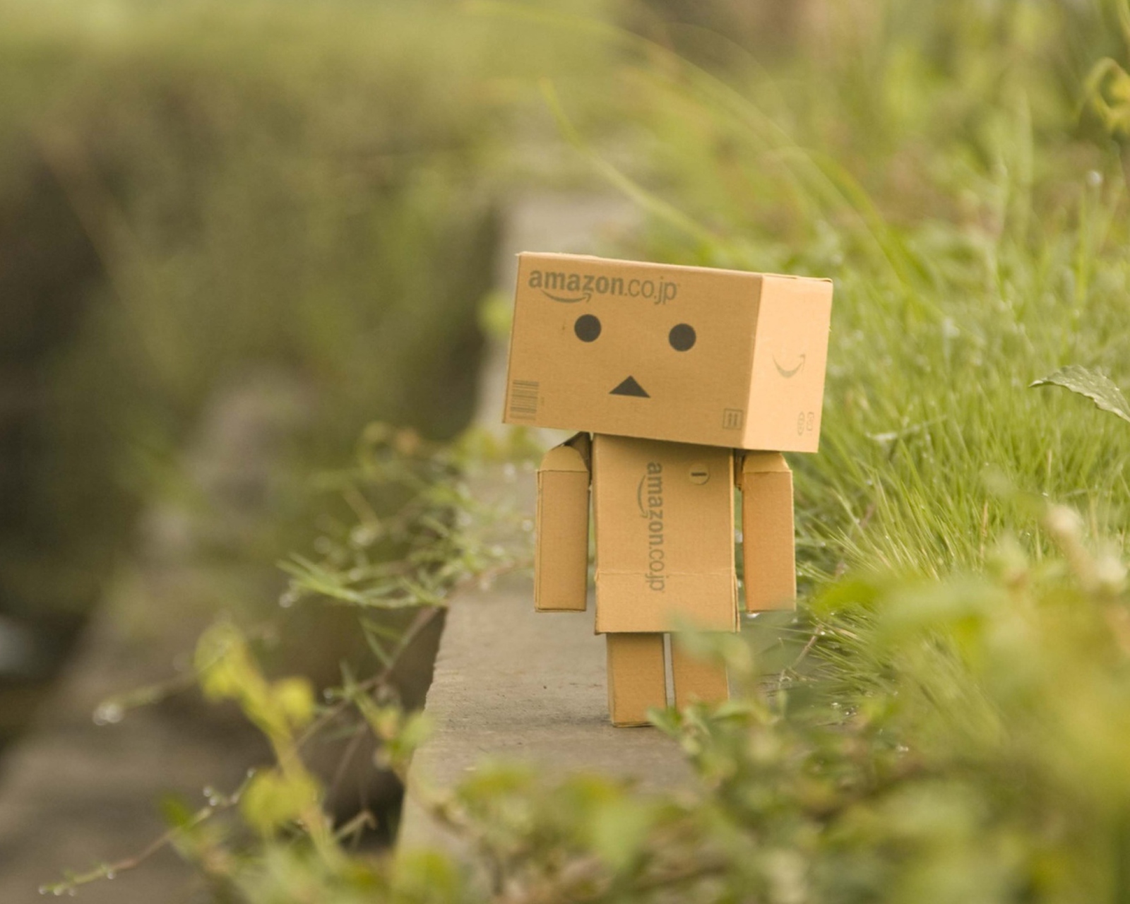 Screenshot №1 pro téma Danbo Goes For A Walk 1600x1280