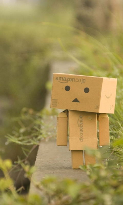 Danbo Goes For A Walk wallpaper 480x800