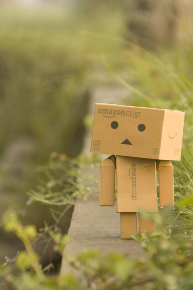 Fondo de pantalla Danbo Goes For A Walk 640x960