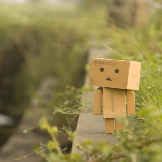 Danbo Goes For A Walk sfondi gratuiti per Samsung E1150