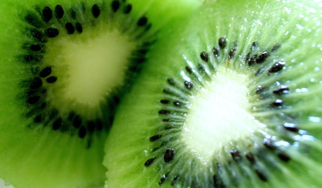 Kiwi wallpaper 1024x600