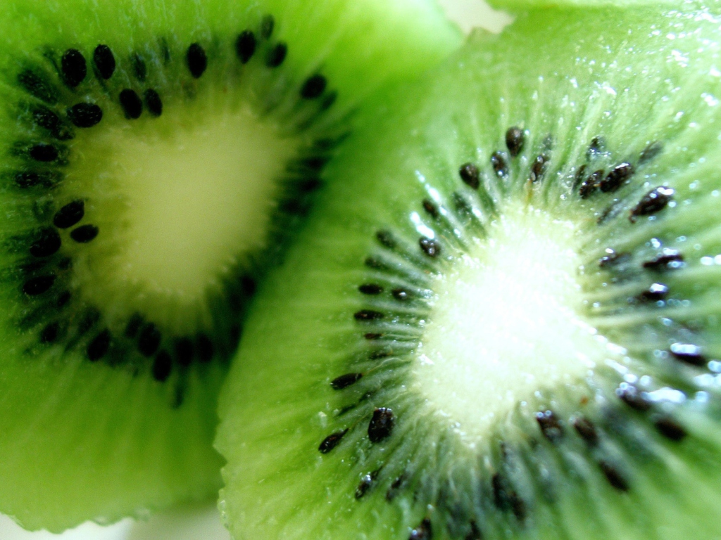 Kiwi wallpaper 1024x768