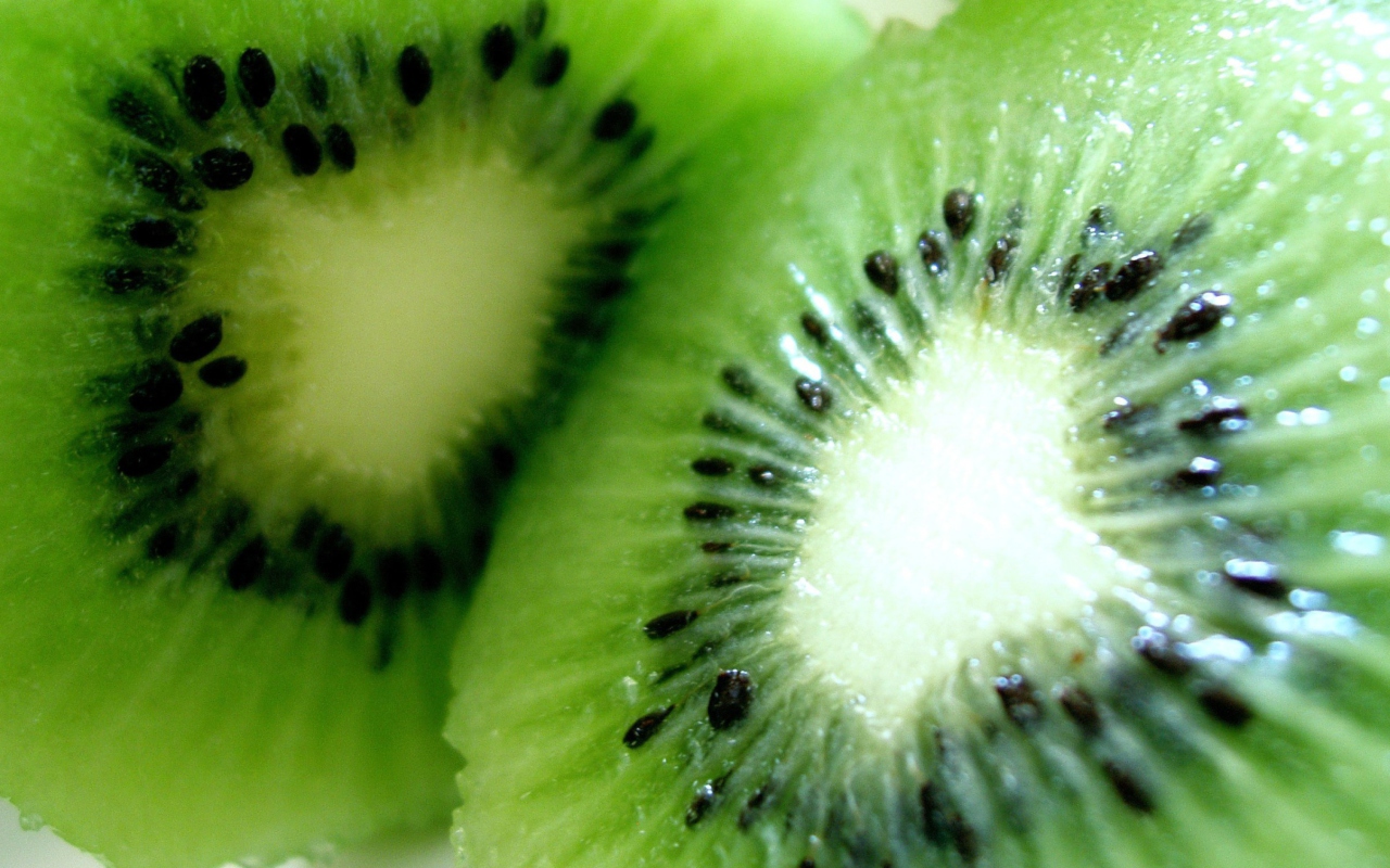 Kiwi wallpaper 1280x800