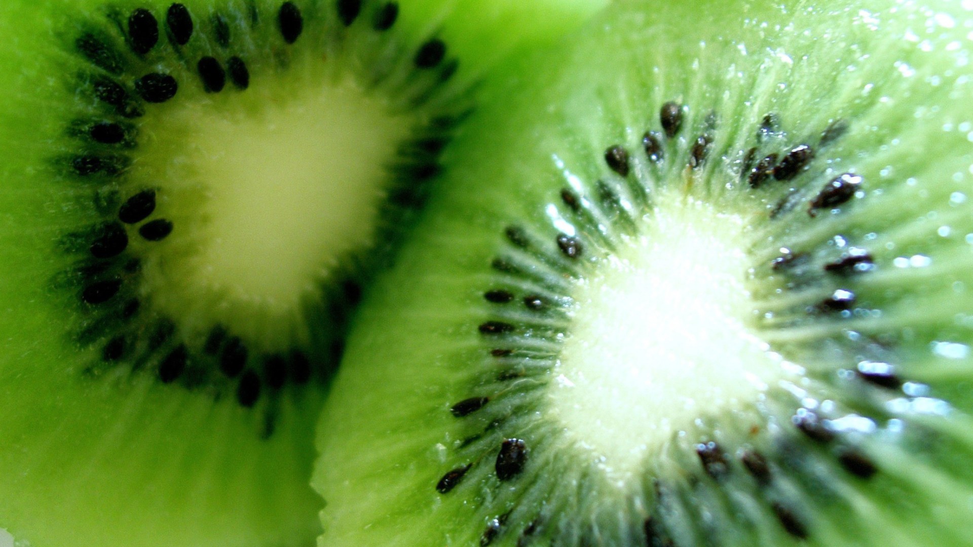 Kiwi wallpaper 1920x1080