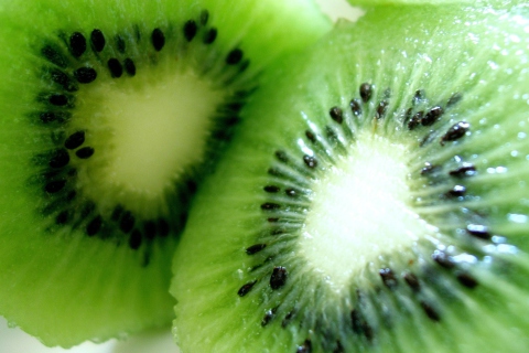 Kiwi wallpaper 480x320