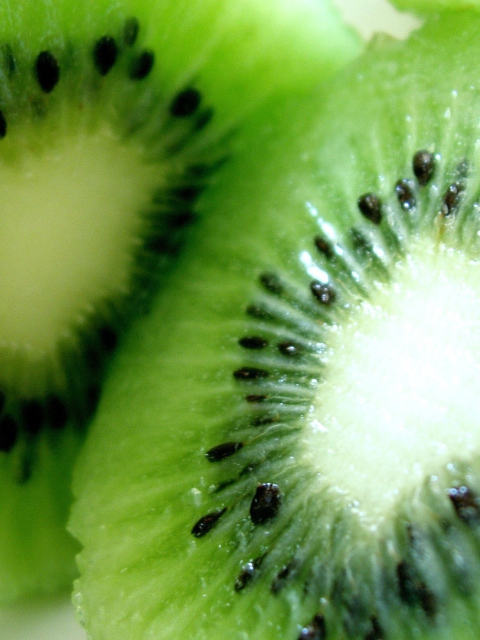 Kiwi wallpaper 480x640