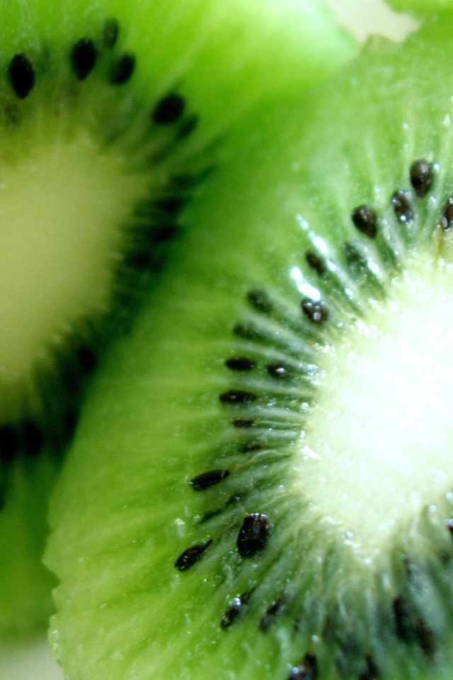 Kiwi wallpaper 640x960