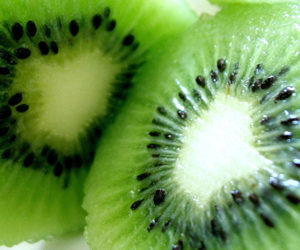 Kiwi wallpaper 960x800