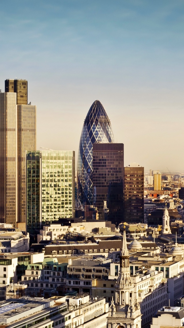 London Skyscraper District with 30 St Mary Axe wallpaper 640x1136