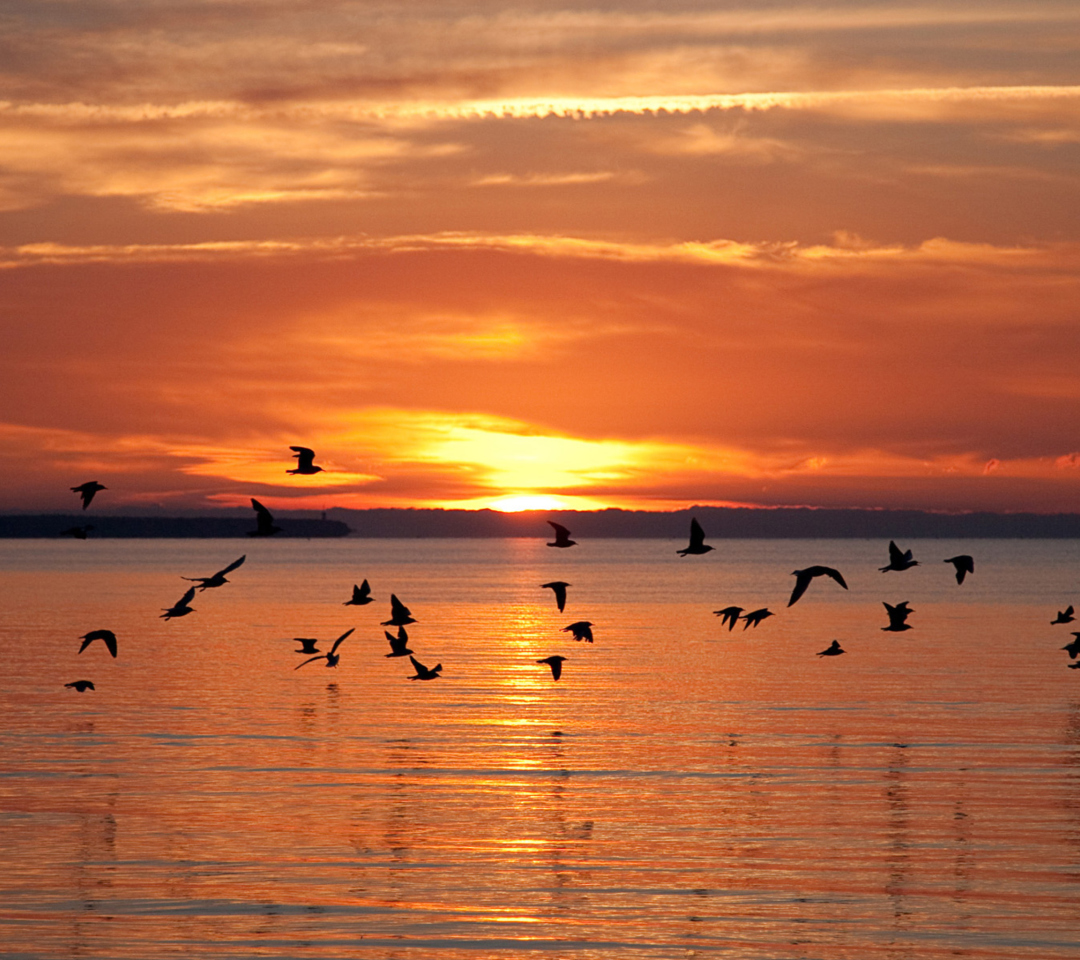 Sea Sunset screenshot #1 1080x960