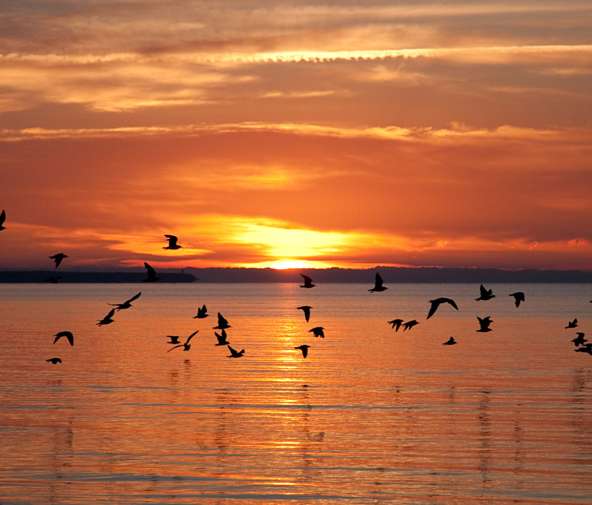 Sea Sunset screenshot #1 1200x1024