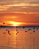 Sea Sunset screenshot #1 128x160