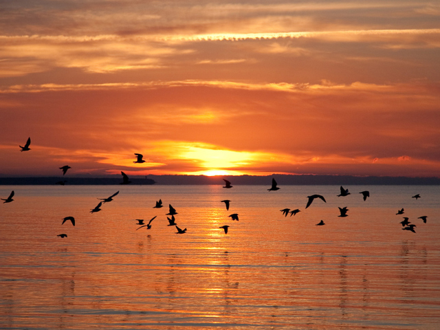 Sfondi Sea Sunset 640x480
