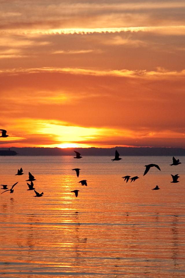 Sfondi Sea Sunset 640x960