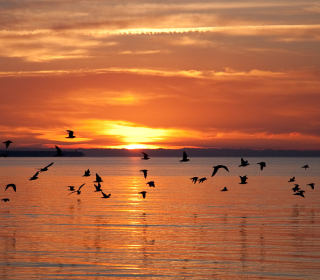 Sea Sunset - Obrázkek zdarma pro 128x128