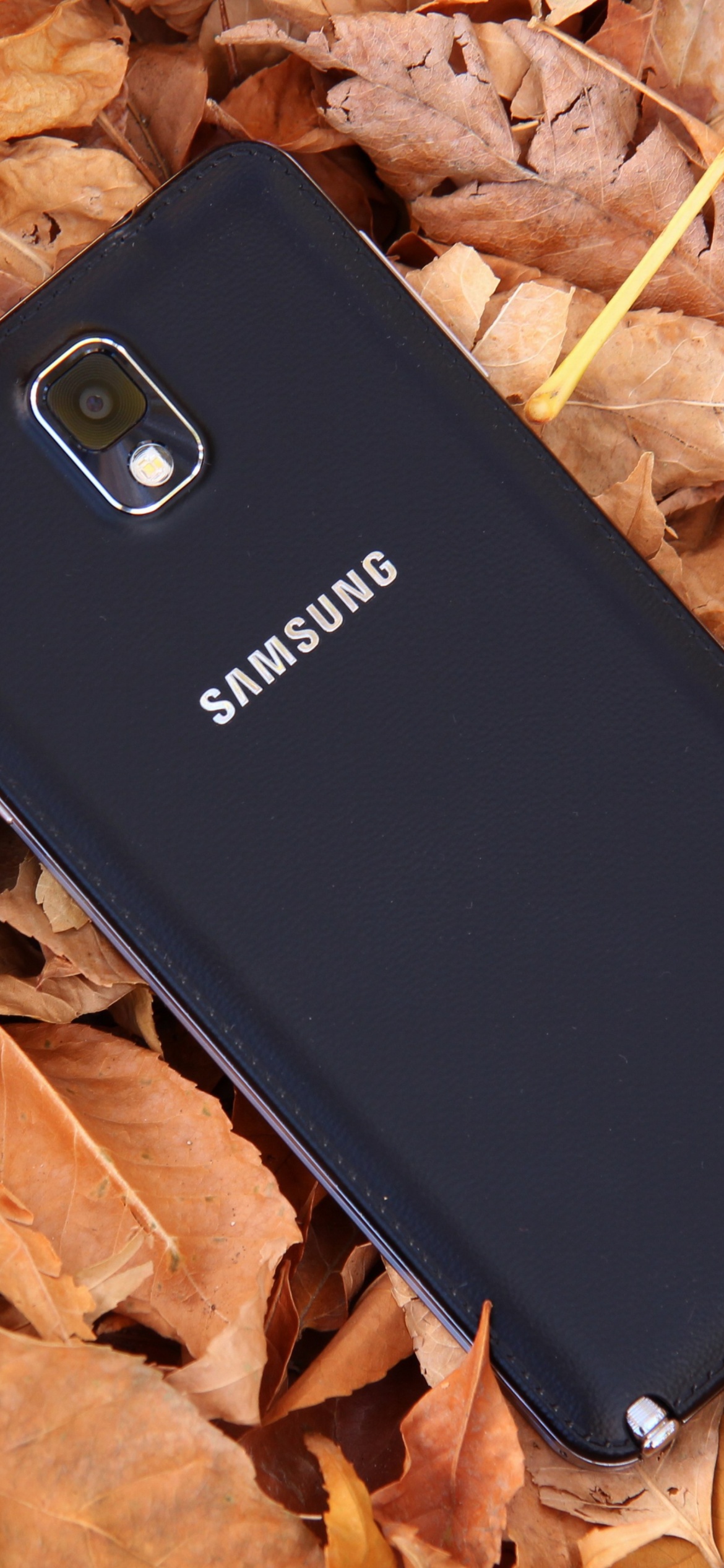 Обои Samsung Galaxy Note 3 1170x2532