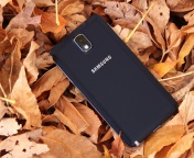 Обои Samsung Galaxy Note 3 176x144