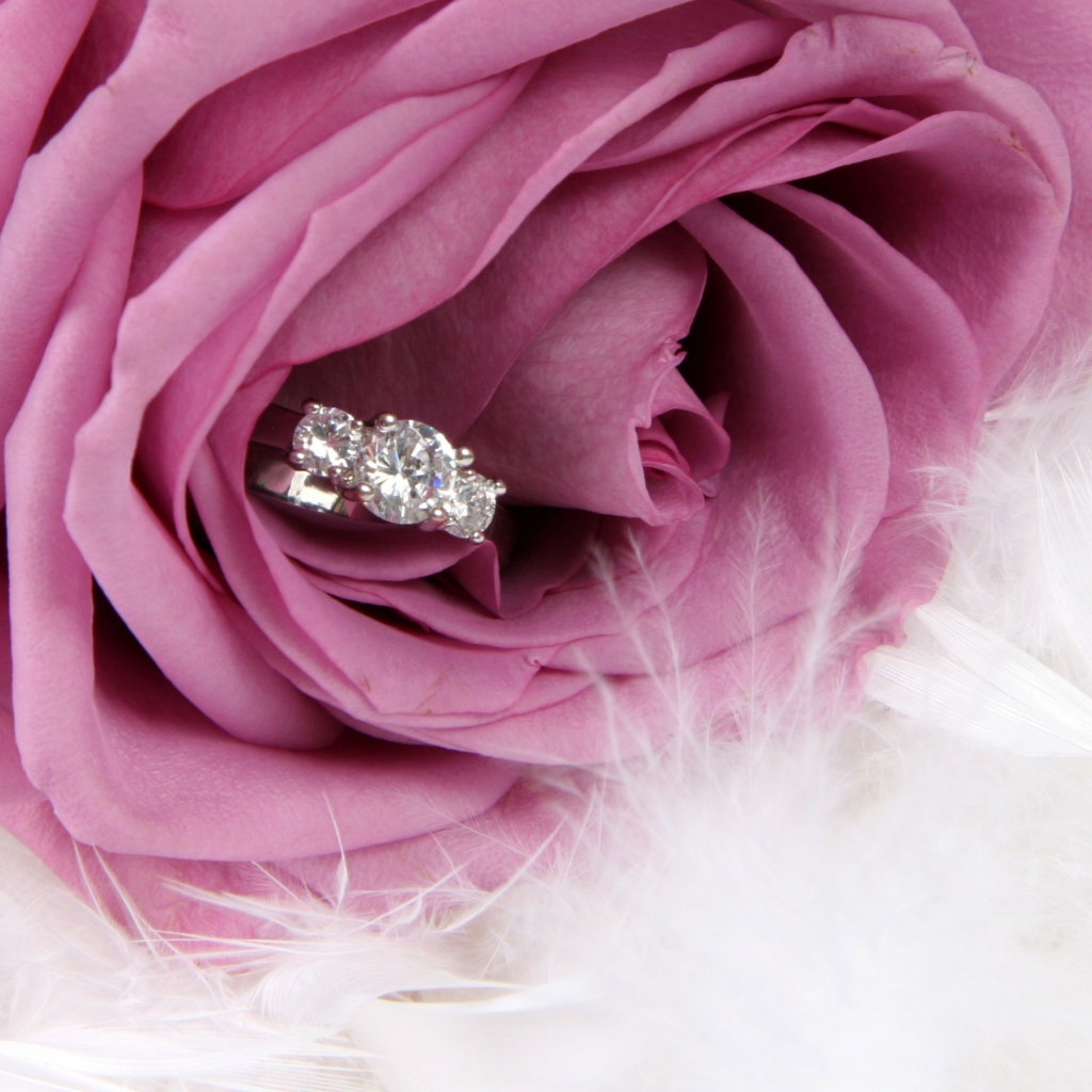 Fondo de pantalla Engagement Ring In Pink Rose 1024x1024