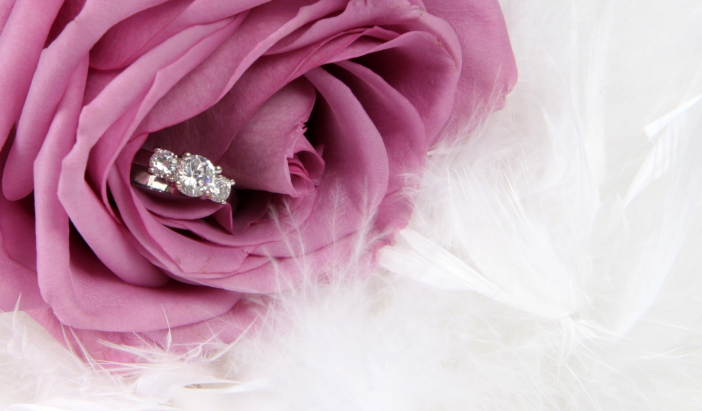 Fondo de pantalla Engagement Ring In Pink Rose 1024x600