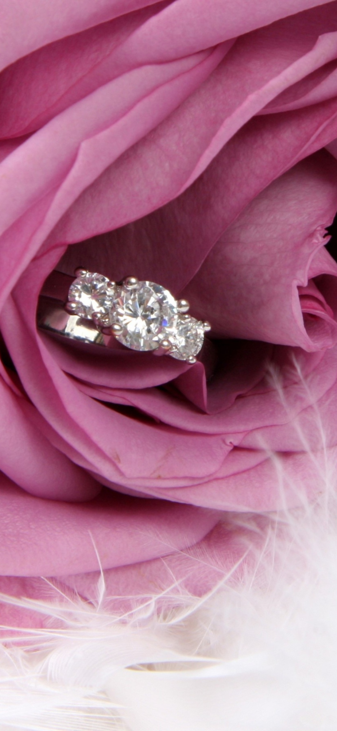 Engagement Ring In Pink Rose wallpaper 1170x2532