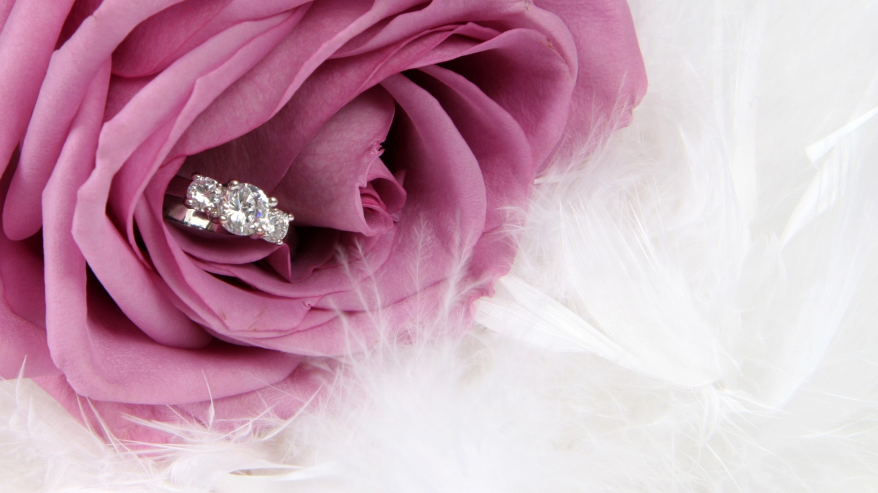 Fondo de pantalla Engagement Ring In Pink Rose 1280x720