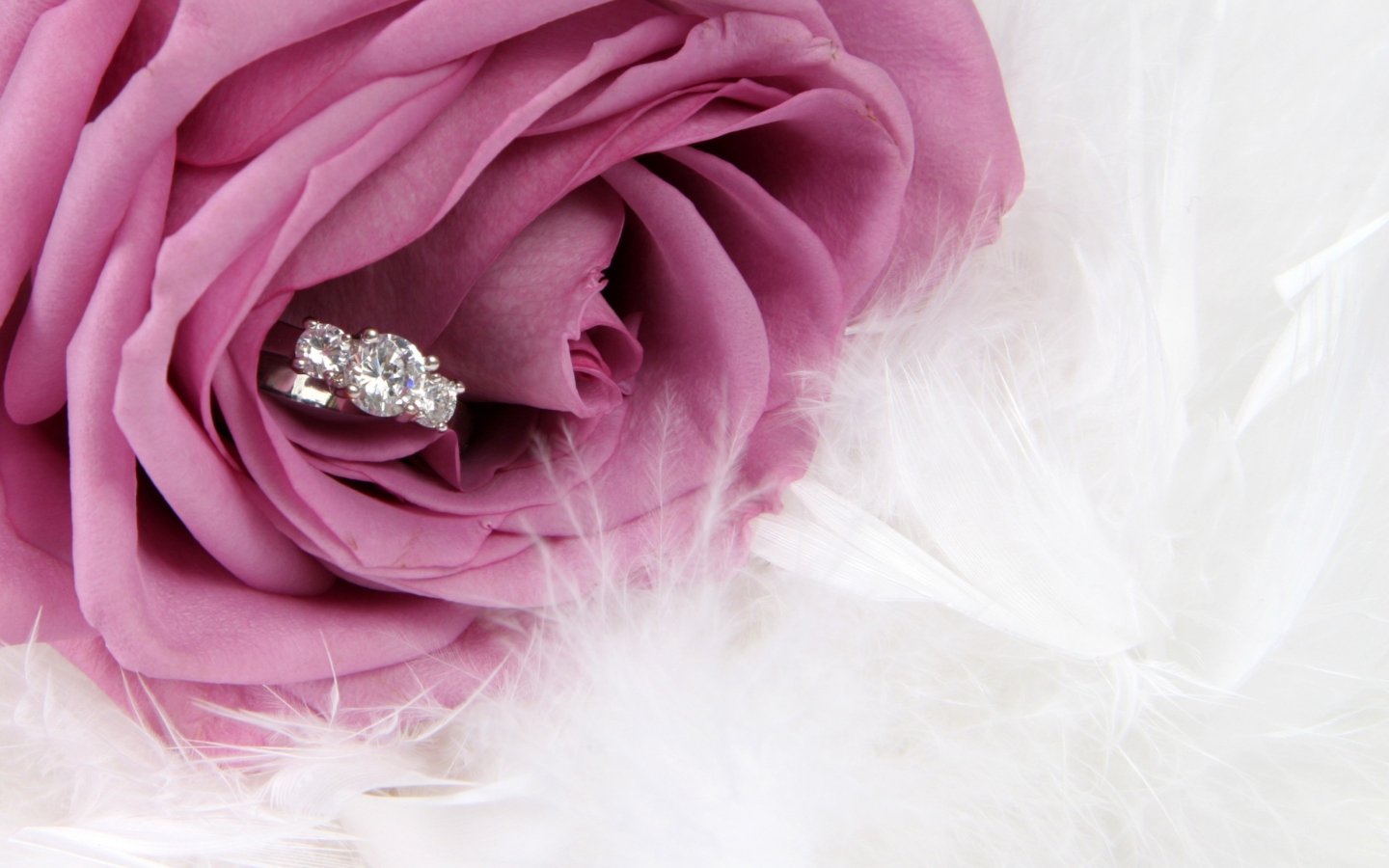 Engagement Ring In Pink Rose screenshot #1 1440x900