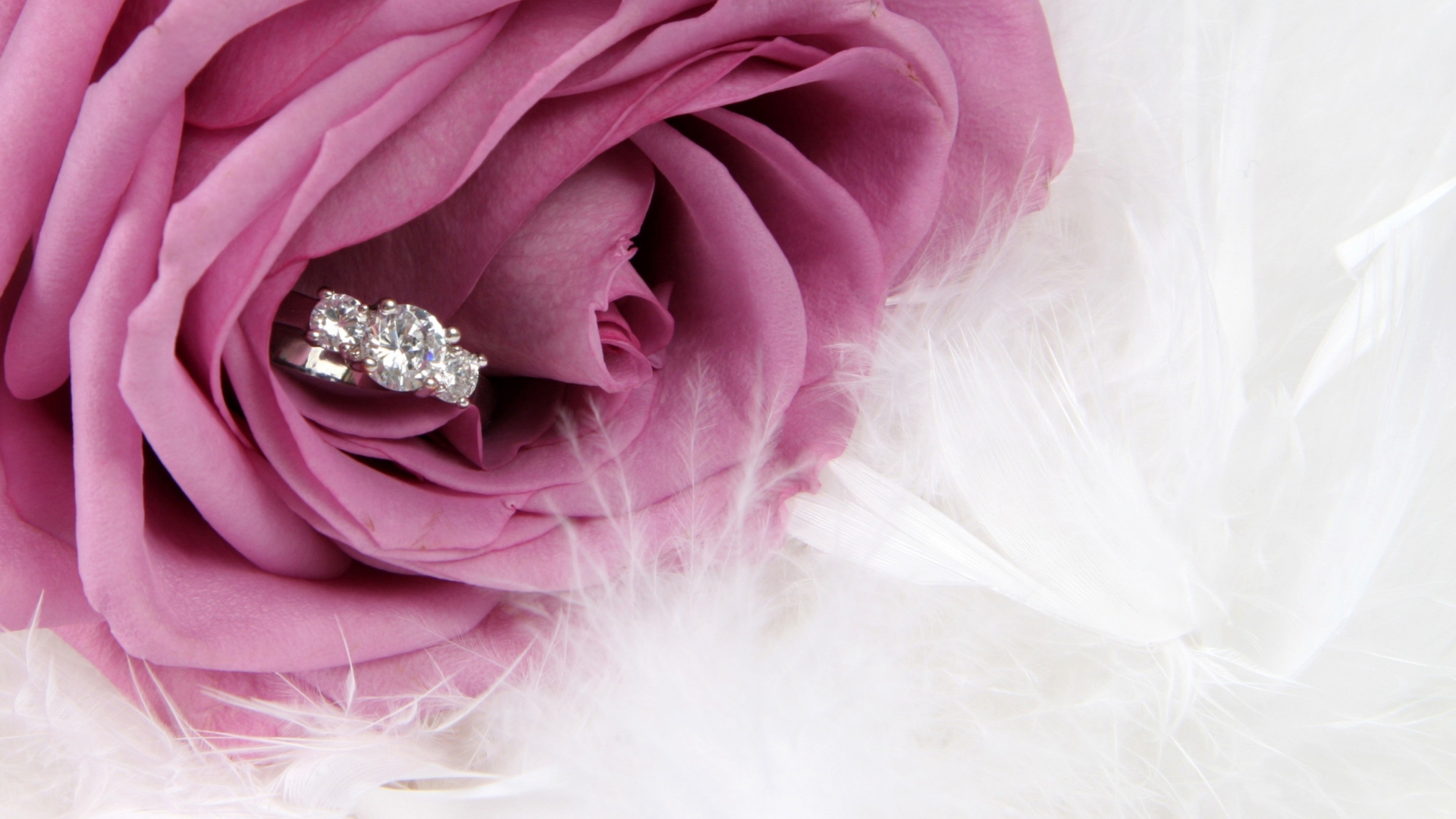 Screenshot №1 pro téma Engagement Ring In Pink Rose 1920x1080