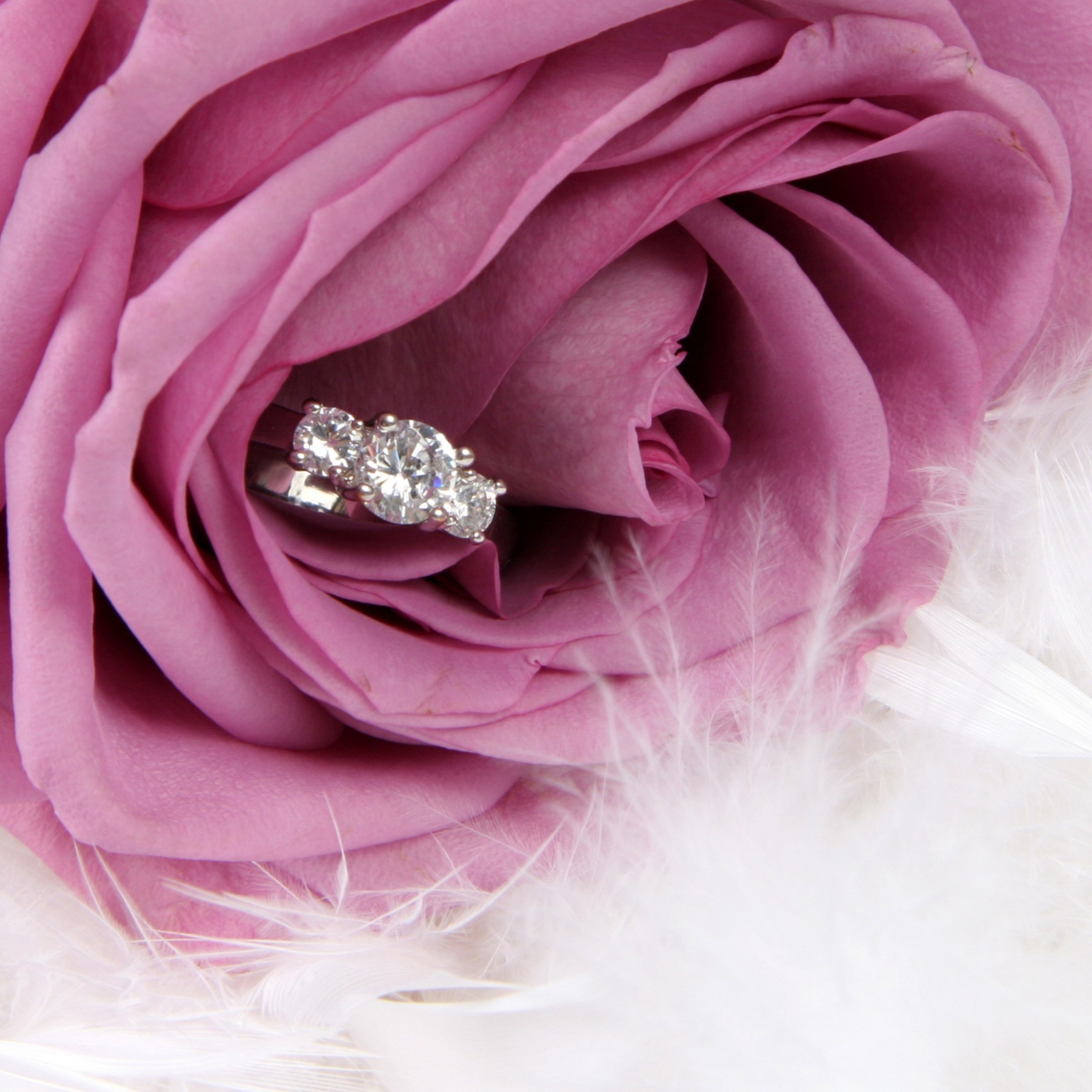 Sfondi Engagement Ring In Pink Rose 2048x2048