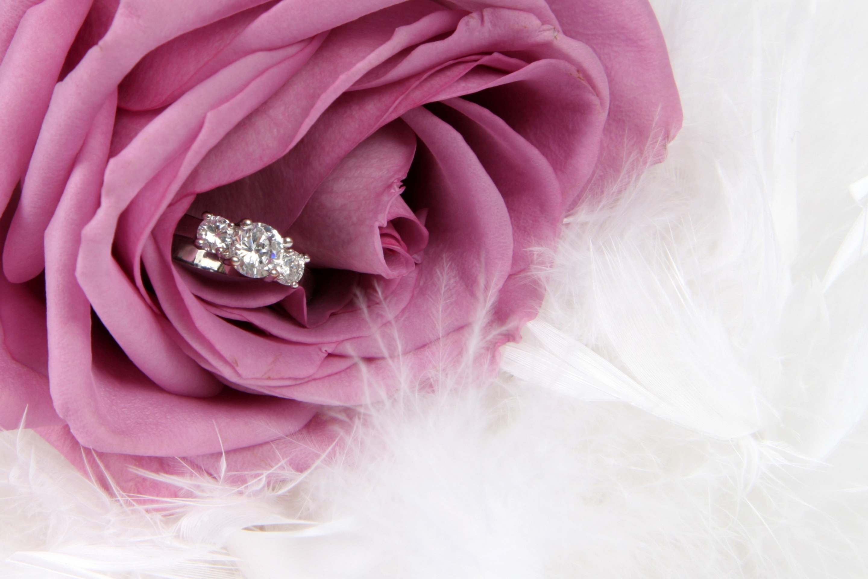 Fondo de pantalla Engagement Ring In Pink Rose 2880x1920